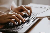 greenfrog blog image may